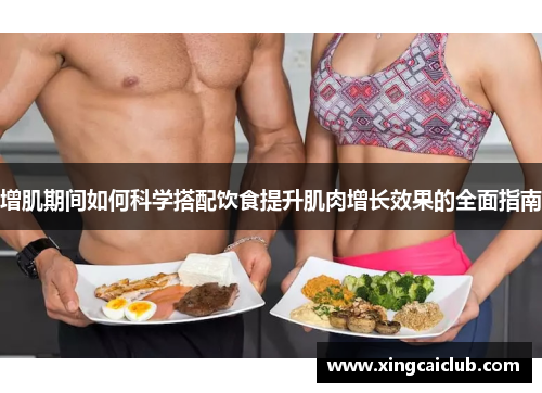 增肌期间如何科学搭配饮食提升肌肉增长效果的全面指南